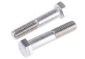 Stainless Steel 317L Hex Bolts
